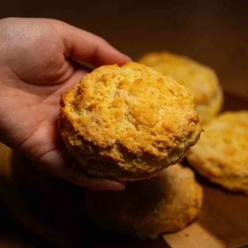 Easy Crock Pot Chicken Pot Pie with Pillsbury Biscuits