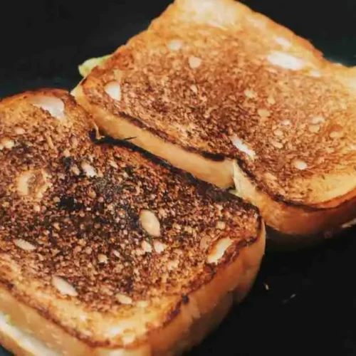 Grilled Chicken Avocado Melt Sandwich