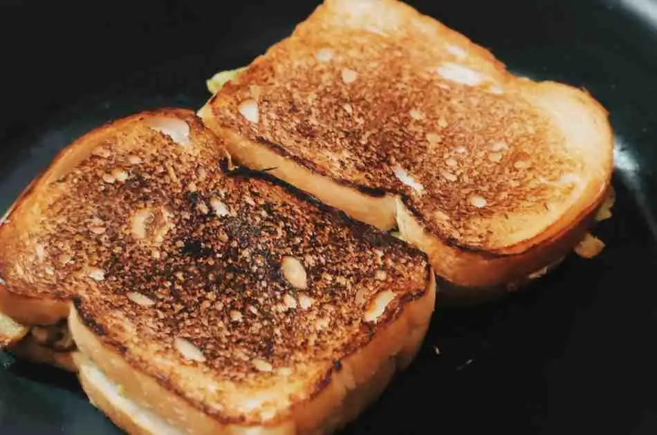 Grilled Chicken Avocado Melt Sandwich